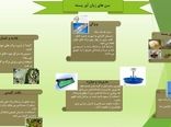 سن زیان  آور در باغات پسته استان قزوین  