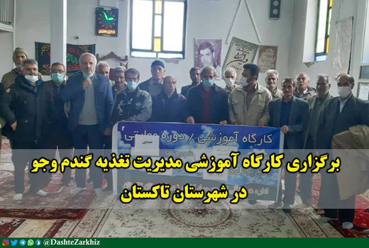 برگزاری کارگاه آموزشی مدیریت تغذیه گندم و جو در شهرستان تاکستان