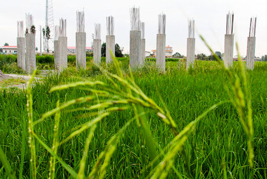 تشدید نظارت بر تغییر کاربری اراضی در قیروکارزین 