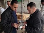 پایداری تولید و عرضه نان در شهرستان مرند