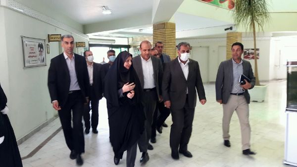 بخش کشاورزی ظرفیت خوبی برای توسعه دارد