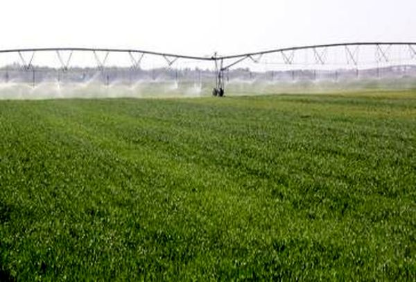 بهره برداری از پروژه سامانه نوین آبیاری 87 هکتاری در شهرستان اردل 