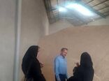 افزایش ۵۰ درصدی میزان خرید گندم در شهرستان تبریز نسبت به سال گذشته