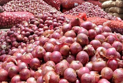 صادرات محصول پیاز مازاد بر مصرف تسهیل می‌شود