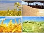 عملیات کاشت غلات پاییزه در شهرستان مهران