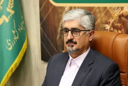 خرید گندم در استان فارس ۱۶ درصد افزایش یافت