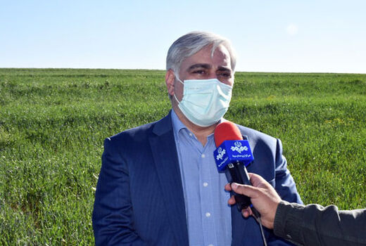 طرح جهش تولید در دیمزارهای کشور در سطح 2 میلیون هکتار اجرا می‌شود