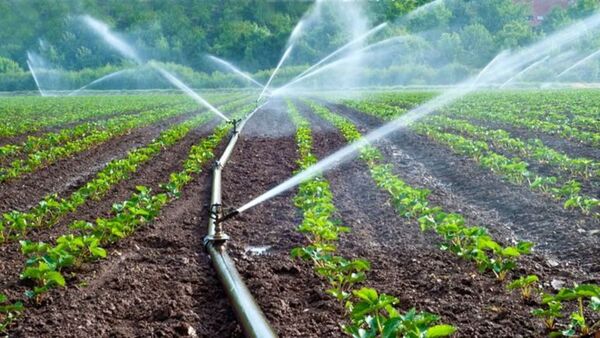 اختصاص ۱۶۰۰ میلیارد تومان اعتبار از صندوق توسعه ملی برای توسعه سامانه های نوین آبیاری در سال ۹۹
