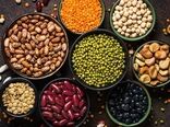 تولید پروتئین‌های گیاهی در ایران ساختار صنعتی ندارد