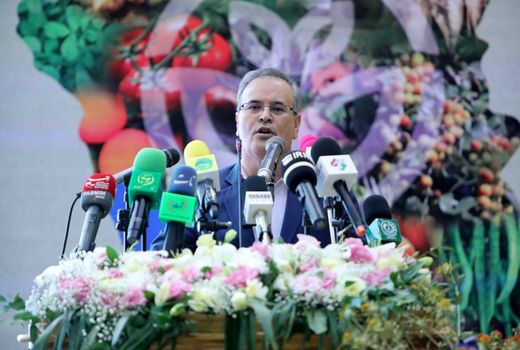 سهم ایران را در تجارت جهانی بذر افزایش دهیم/ لزوم افزایش تولید بذر هیبرید سبزی و صیفی 