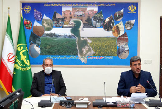 نزدیک تر ساختن مراکز علمی و تحقیقاتی به مراکز اجرایی، سیاست کاری مقام عالی وزارت جهادکشاورزی است 