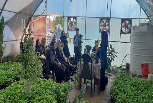 گلخانه‌های کوچک مقیاس فرصت اشتغال‌زایی بانوان روستایی
