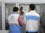 استانداردهای سلامت در صنایع بزرگ بوشهر تقویت می‌شود