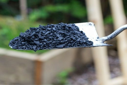 بیوچار میزان بهره‌وری محصولات کشاورزی را افزایش می‌دهد