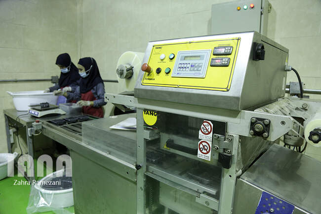 کارخانه بسته بندی مواد غذایی برتر