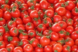 گوجه گیلاسی از بیضا روانه بازار شد