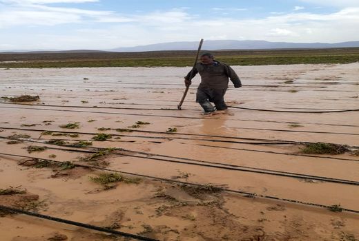 خسارت 5 میلیارد ریالی از باران برای خرم بید 