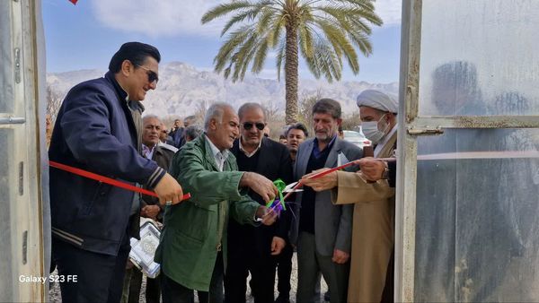 بهره‌برداری از گلخانه تولید سبزی و صیفی در داراب