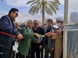 بهره‌برداری از گلخانه تولید سبزی و صیفی در داراب