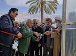 بهره‌برداری از گلخانه تولید سبزی و صیفی در داراب