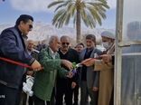 بهره‌برداری از گلخانه تولید سبزی و صیفی در داراب