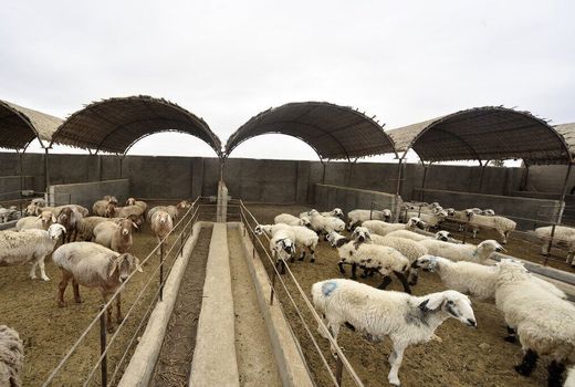 هشت طرح تعاونی روستایی در استان اصفهان به بهره برداری رسید