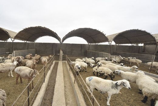هشت طرح تعاونی روستایی در استان اصفهان به بهره برداری رسید