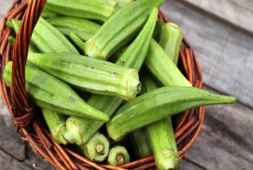 برداشت ۶۰ تن محصول بامیه در شهرستان مهران