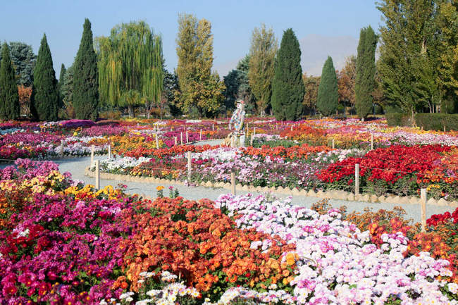بازدید تور رسانه ای از باغ ملی گیاه شناسی ایران                   