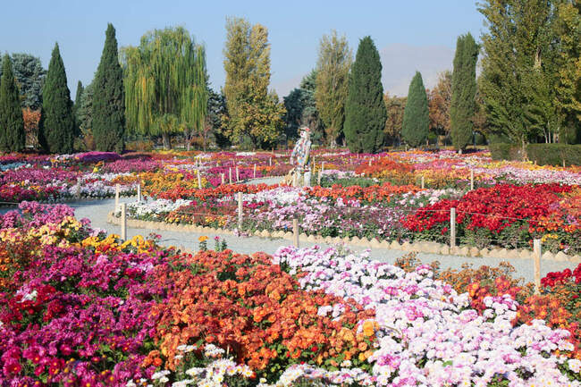 بازدید تور رسانه ای از باغ ملی گیاه شناسی ایران                   