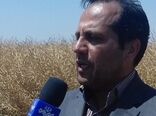 برگزاری کارگاه آموزشی سیستم یکپارچه سازی اطلاعات کشاورزی