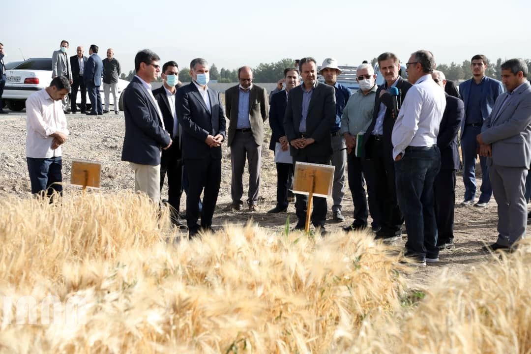 WhatsApp Image 2022-06-14 at 10.06.34 AM