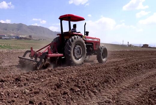 کشت گیاه خار شتر برای اولین بار در اراضی لم یزرع شهرستان شبستر