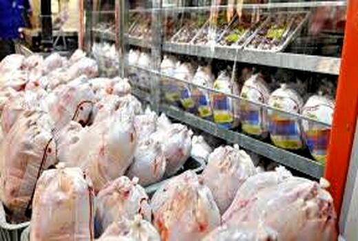 تولید بیش از 8.5 هزار  تن گوشت مرغ در شیروان 