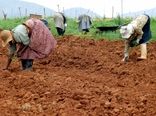 سرمایه‌گذاری برای مهم‌ترین شغل جهان