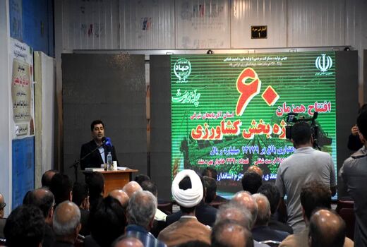 تکمیل زنجیره ارزش می‌تواند راهگشای حوزه کشاورزی باشد