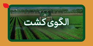  الگوی کشت