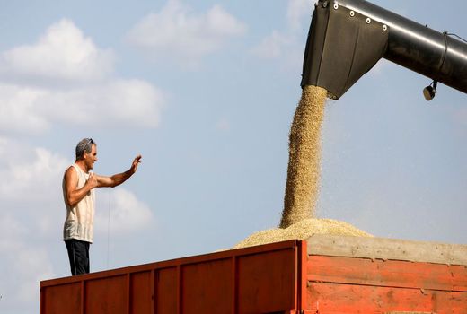 تمرکز سازمان ملل بر روی بهبود صادرات روسیه