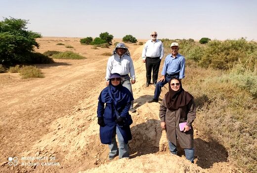 معجزه سامانه پخش سیلاب در احیای کانون گردوغبار خوزستان