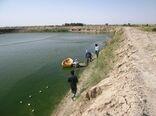 رهاسازی 29 میلیون لاروماهی در آب‌های سیستان و بلوچستان