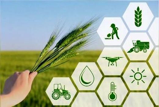 بهره‌برداری از فناوری هسته‌ای در کشاورزی؛ گامی نو برای تولید پایدار در استان بوشهر