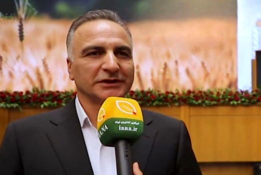 سالانه 400 هزار تن بذر اصلاح و گواهی‌شده گندم تولید می‌شود