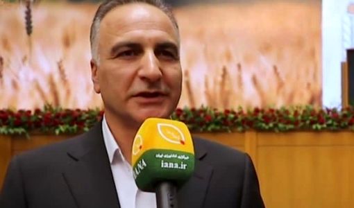 سالانه 400 هزار تن بذر اصلاح و گواهی‌شده گندم تولید می‌شود