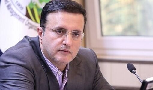 همکاری با کشورهای دوست برای تأمین نهاده‌های دامی و کالاهای اساسی تقویت می‌شود