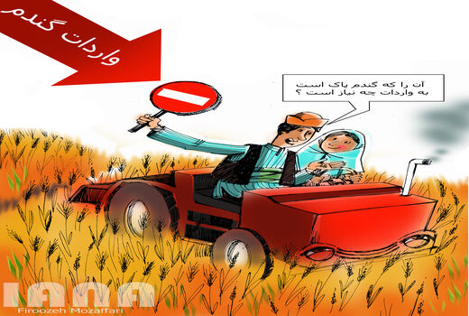 خودکفایی گندم -کارتون فیروزه مظفری