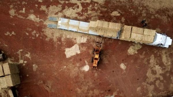 چالش «کشت بیابان» در استرالیا