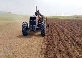 اختصاص بیش از 24 هزار هکتار از اراضی کشاورزی به کشت بهاره