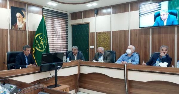 واگذاری ۲۵ هزار هکتار مزرعه میگوی پرورشی در هرمزگان 