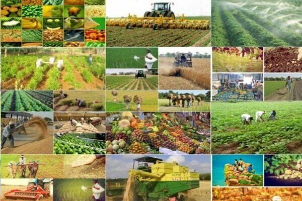 یکپارچه سازی و احداث شبکه فرعی آبیاری اراضی کریت طبس