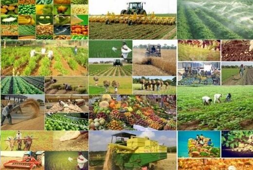 یکپارچه سازی و احداث شبکه فرعی آبیاری اراضی کریت طبس